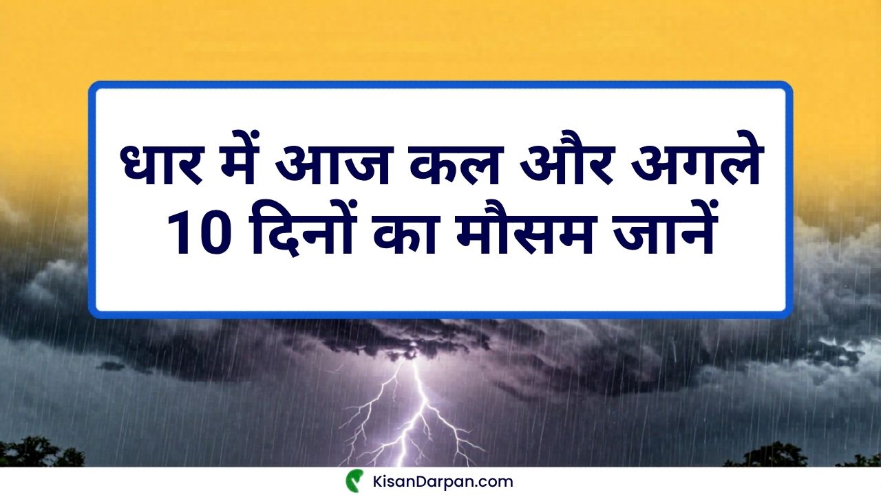 धार में आज कल और अगले 10 दिनों का मौसम जानें मौसम अपडेट 2026