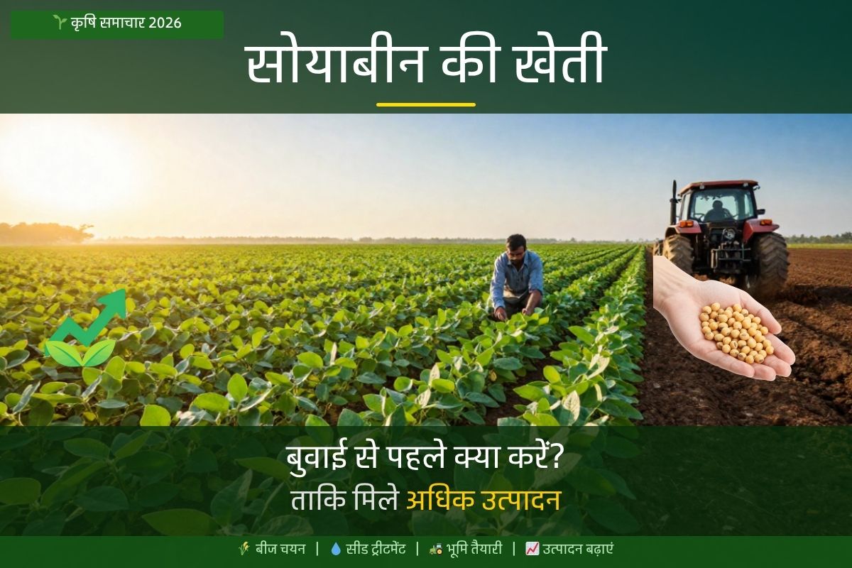 सोयाबीन की खेती 2026 बुवाई से पहले करें ये जरूरी तैयारी