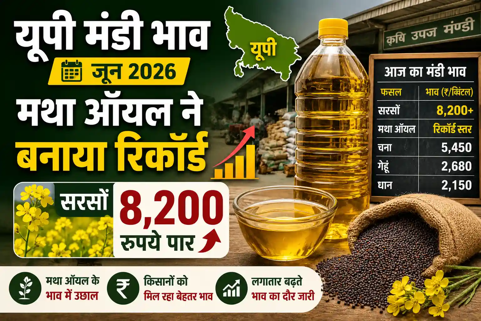 यूपी मंडी भाव 11 जून 2026 मेंथा ऑयल ने बनाया रिकॉर्ड
