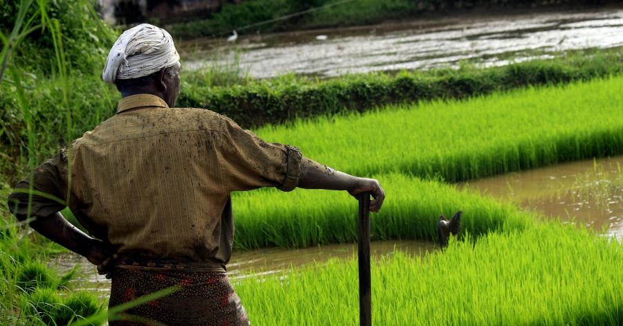 भारतीय कृषि के विकास को प्रभावित करने वाले प्रमुख कानून